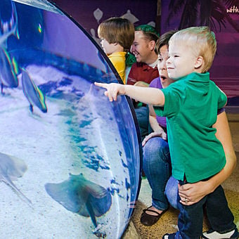 Admission to the LEGOLAND® Discovery Center and SEA LIFE San Antonio ...