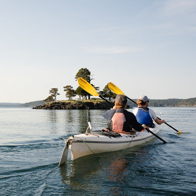 Seattle: 2 Day Whalewatching Camp Kayak Tour